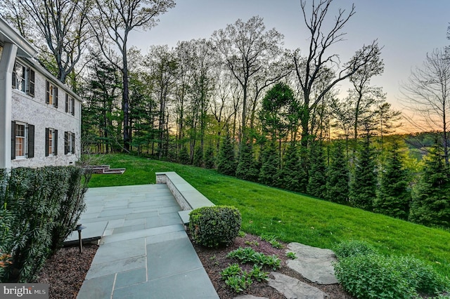 view of yard at dusk