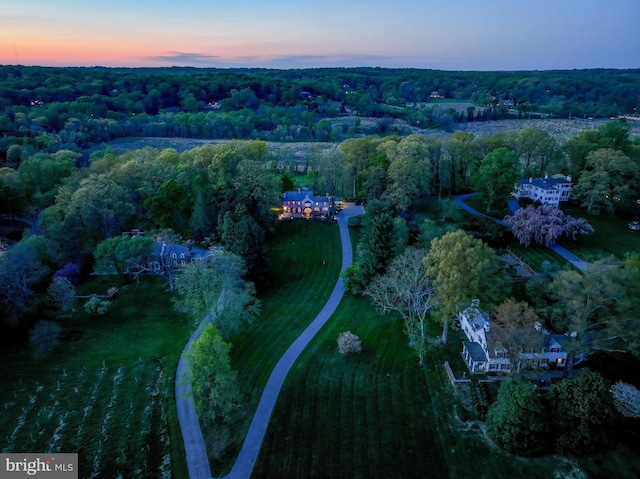 aerial view at dusk with a forest view