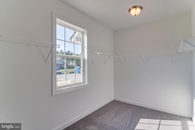 7826 Sugar Maple Dr, Milford, DE 19963 - walk in closet featuring carpet floors