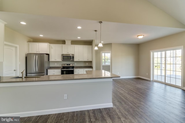 7826 Sugar Maple Dr, Milford, DE 19963 - kitchen with a sink, plenty of natural light, stainless steel appliances, and dark wood-style flooring
