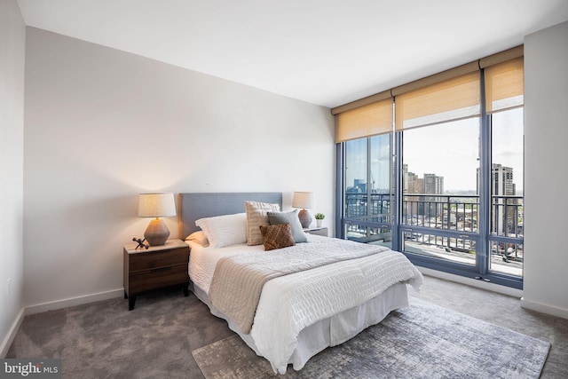 carpeted bedroom with baseboards, access to outside, and a city view