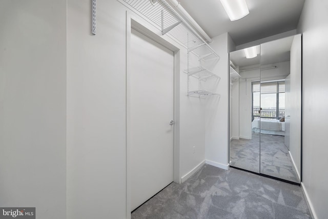 spacious closet featuring carpet flooring