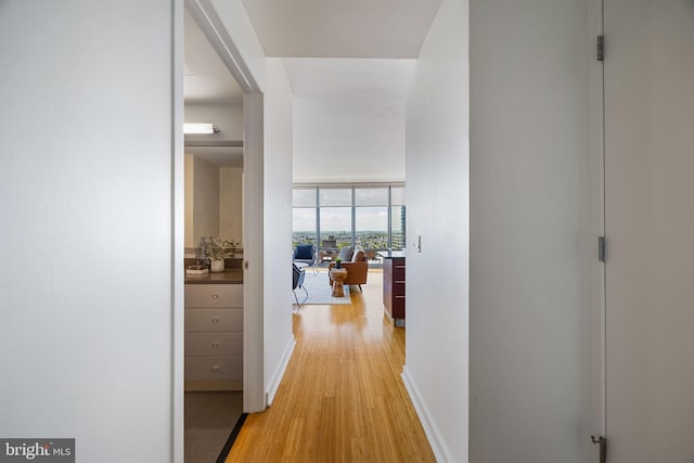 corridor featuring baseboards, a wall of windows, and light wood-style flooring