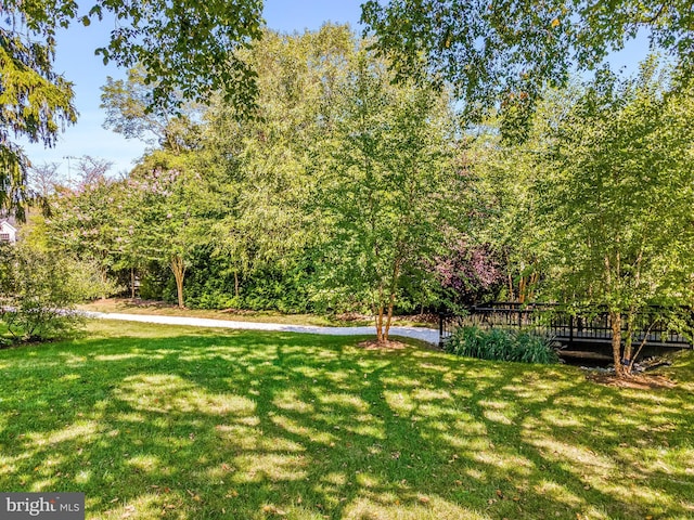 52 Primrose Hill Ln, Annapolis, MD 21403 - view of green lawn with a deck