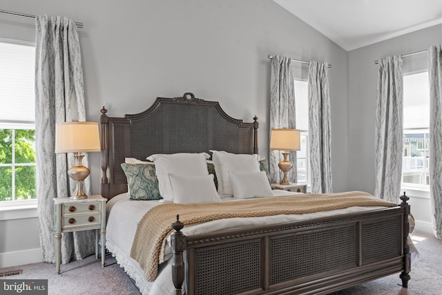 52 Primrose Hill Ln, Annapolis, MD 21403 - bedroom featuring carpet, lofted ceiling, and baseboards