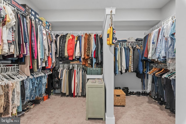 52 Primrose Hill Ln, Annapolis, MD 21403 - spacious closet featuring carpet flooring