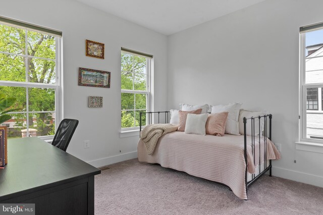 52 Primrose Hill Ln, Annapolis, MD 21403 - bedroom with multiple windows, light carpet, and baseboards
