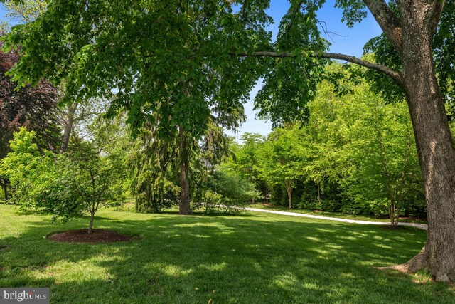 52 Primrose Hill Ln, Annapolis, MD 21403 - view of grassy yard