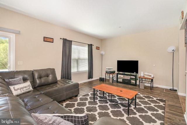living room with baseboards, wood finished floors, and a wealth of natural light