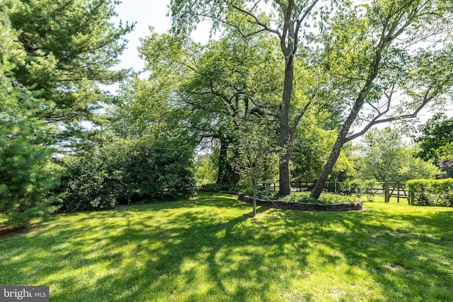 4690 Derby Ln, Doylestown, PA 18902 - view of yard