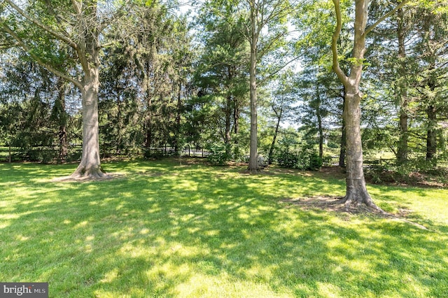 4690 Derby Ln, Doylestown, PA 18902 - view of green lawn