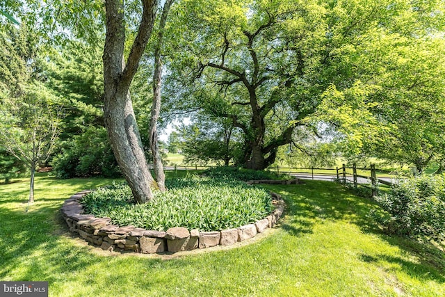 4690 Derby Ln, Doylestown, PA 18902 - view of yard