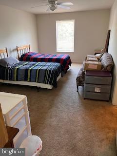 bedroom with a ceiling fan and carpet