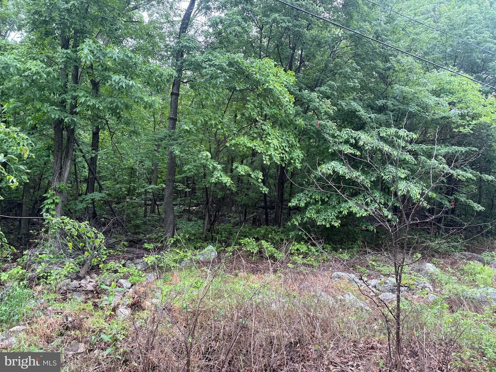 Iroquois Trl Lot 75, Winchester, VA 22602