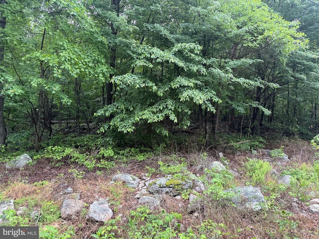 Iroquois Trl Lot 75, Winchester, VA 22602
