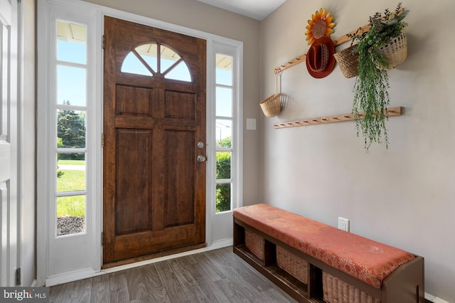 entryway featuring baseboards and wood finished floors