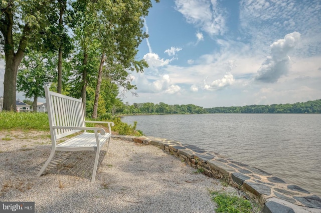 property view of water