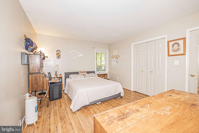 11039 Timberview Dr, Manassas, VA 20111 - bedroom featuring light wood-type flooring and a closet