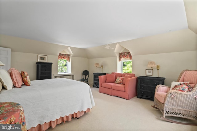 805 Evans Rd, Gwynedd Valley, PA 19437 - carpeted bedroom with multiple windows and lofted ceiling