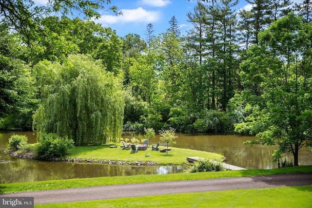 805 Evans Rd, Gwynedd Valley, PA 19437 - view of home's community with a yard and a water view