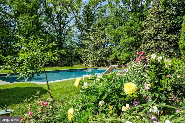 805 Evans Rd, Gwynedd Valley, PA 19437 - view of pool with view of scattered trees