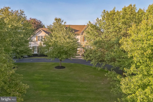 view of community featuring a yard