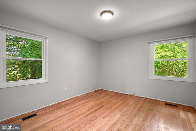 1725 Stratton Rd, Crofton, MD 21114 - spare room featuring plenty of natural light, light wood-style flooring, and baseboards