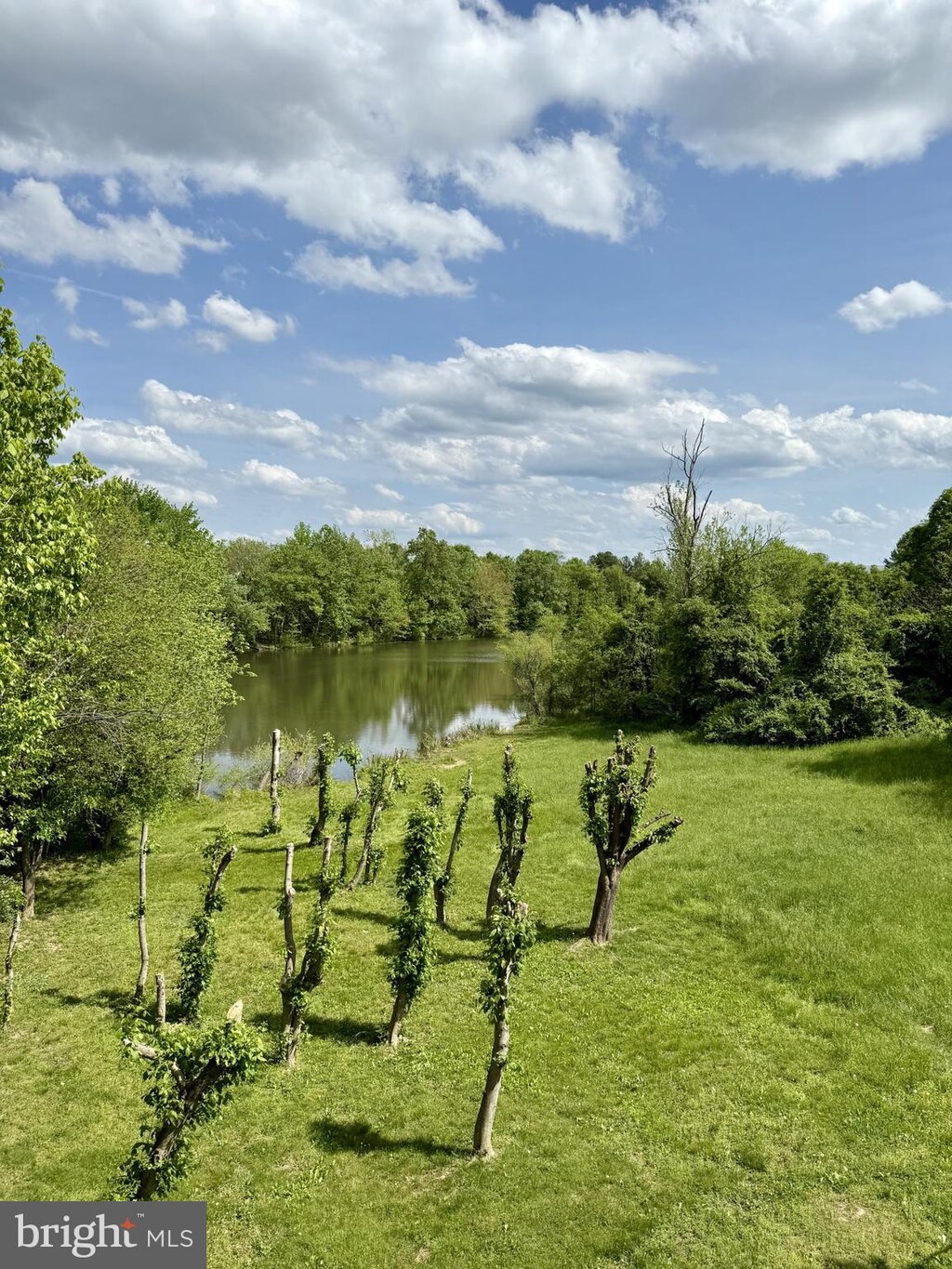 view of yard with a water view