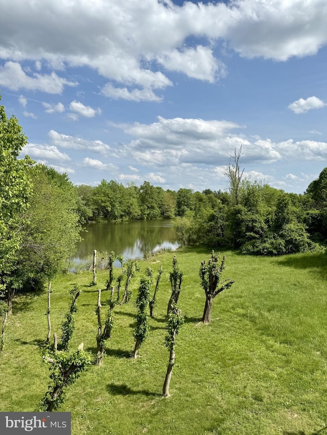 view of yard with a water view