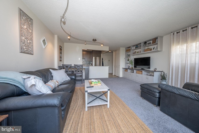 1030 E Lancaster Ave Unit 330, Bryn Mawr, PA 19010 - carpeted living area featuring a textured ceiling