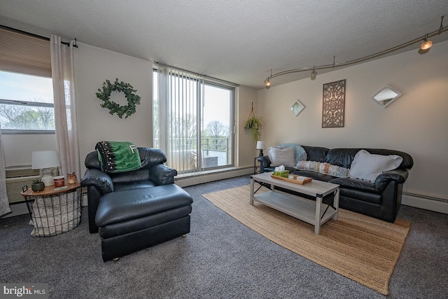 1030 E Lancaster Ave Unit 330, Bryn Mawr, PA 19010 - carpeted living area featuring rail lighting, a textured ceiling, and a baseboard heating unit