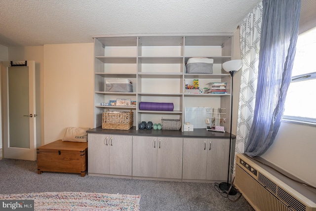 1030 E Lancaster Ave Unit 330, Bryn Mawr, PA 19010 - interior space