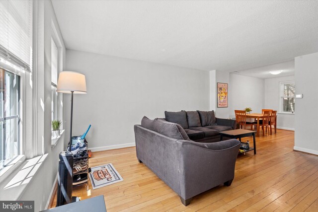 living room featuring baseboards and light wood-style flooring