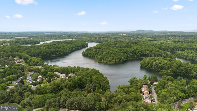 13405 Wisteria Dr, Germantown, MD 20874 - drone / aerial view of a heavily wooded area and a large body of water