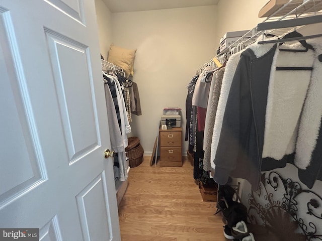 walk in closet featuring light wood-style floors