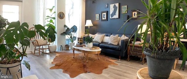 living area with wood finished floors