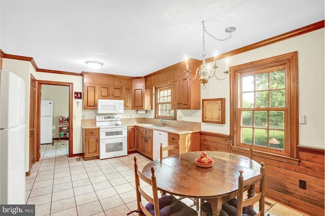 kitchen featuring a sink, white appliances, light countertops, a healthy amount of sunlight, and ornamental molding