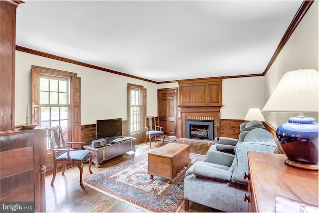 living room with crown molding, wainscoting, and wood finished floors