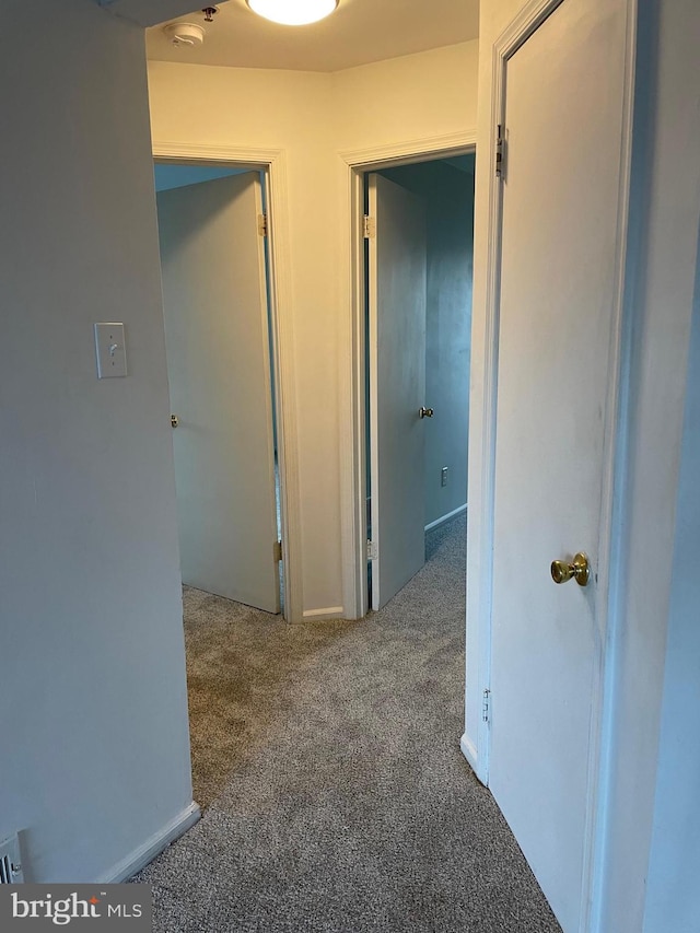 216 Highland Blvd Unit 77, New Castle, DE 19720 - corridor with carpet flooring and baseboards