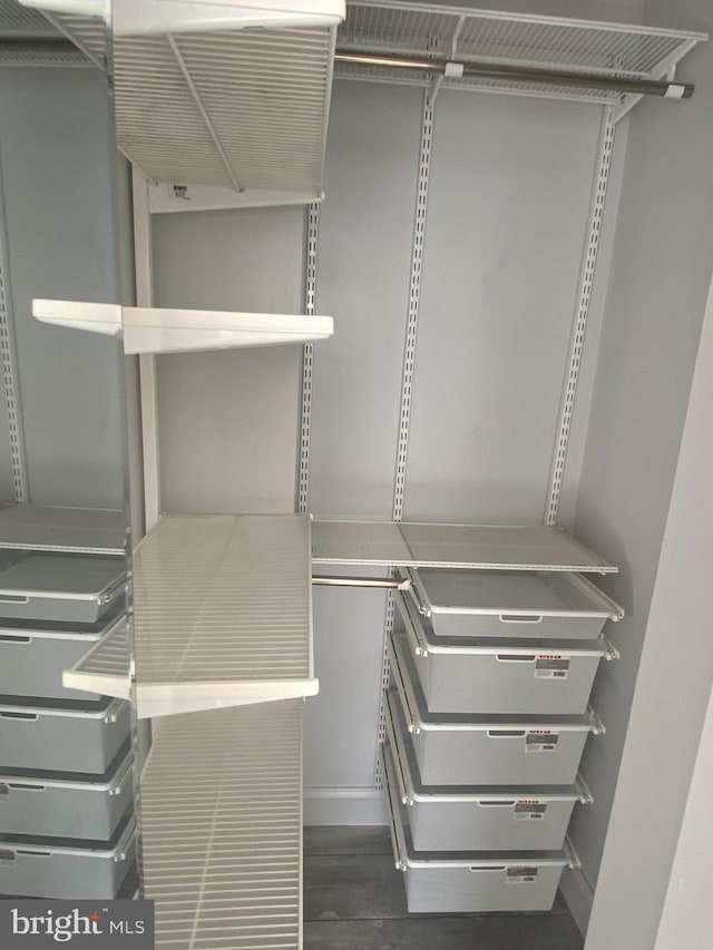 spacious closet with dark wood-type flooring