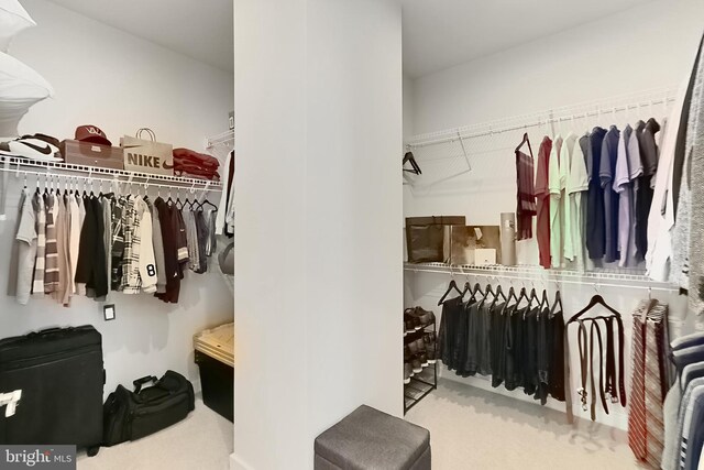 1701 Beech Leaf St, Dumfries, VA 22026 - walk in closet featuring carpet flooring