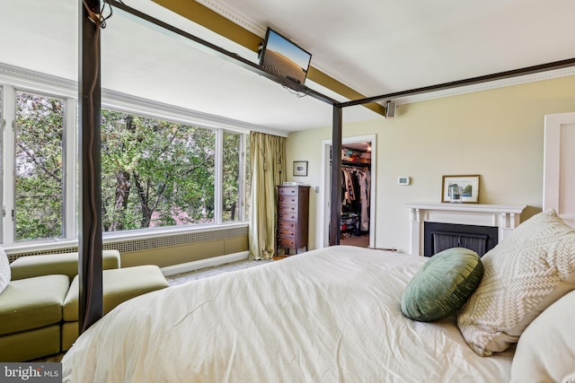 33 Rosedale Rd, Princeton, NJ 08540 - bedroom with a spacious closet, a closet, and a fireplace