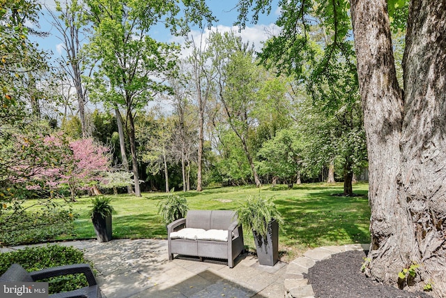 33 Rosedale Rd, Princeton, NJ 08540 - surrounding community featuring a patio and a lawn