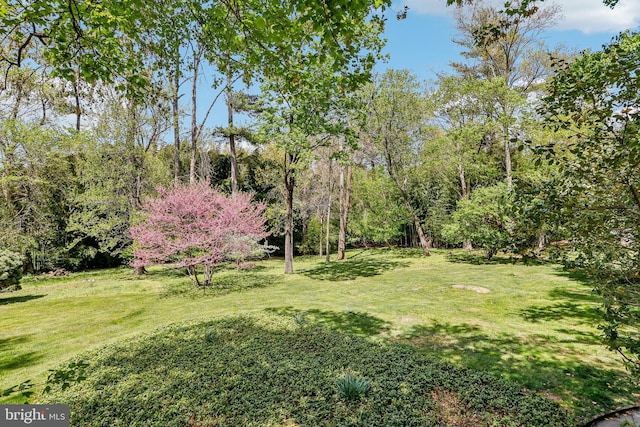 33 Rosedale Rd, Princeton, NJ 08540 - view of yard