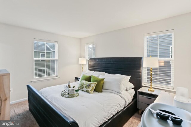 209 Sheridan St, Taneytown, MD 21787 - carpeted bedroom featuring baseboards