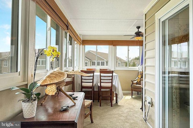 sunroom / solarium with carpet flooring
