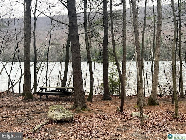 water view