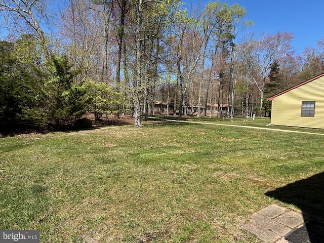 113 Lexington Dr, Tuckerton, NJ 08087 - view of green lawn