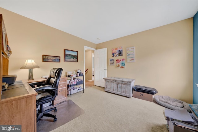 office space featuring carpet floors