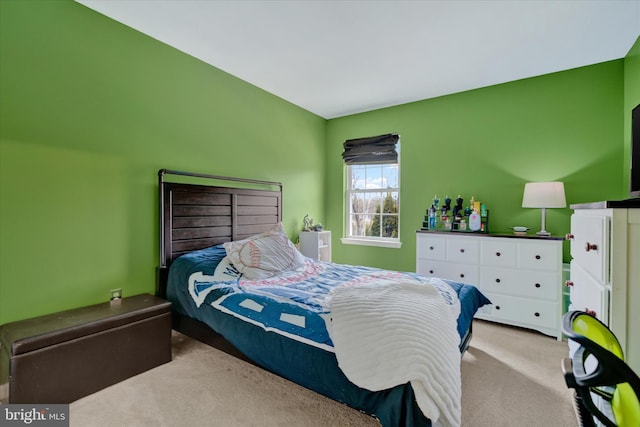 bedroom with carpet flooring